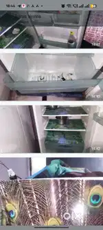 Refagtter dubal door good condition best price