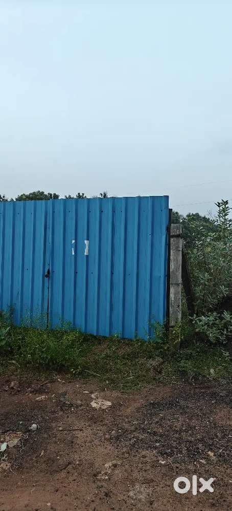 Urgent sales S.F. rate;1450