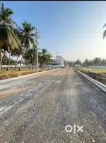TNR real estate & builders