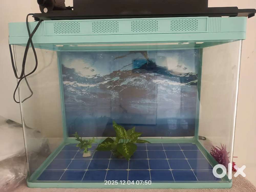 Fish tank for sale