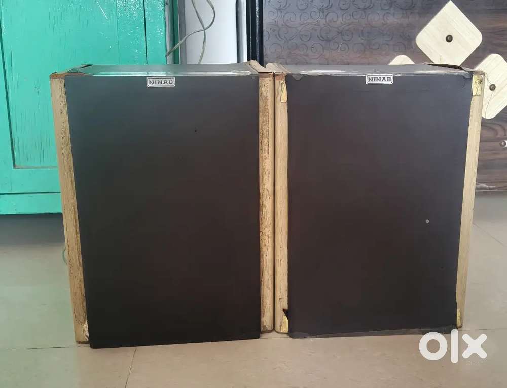 NINAD SPEAKER 2