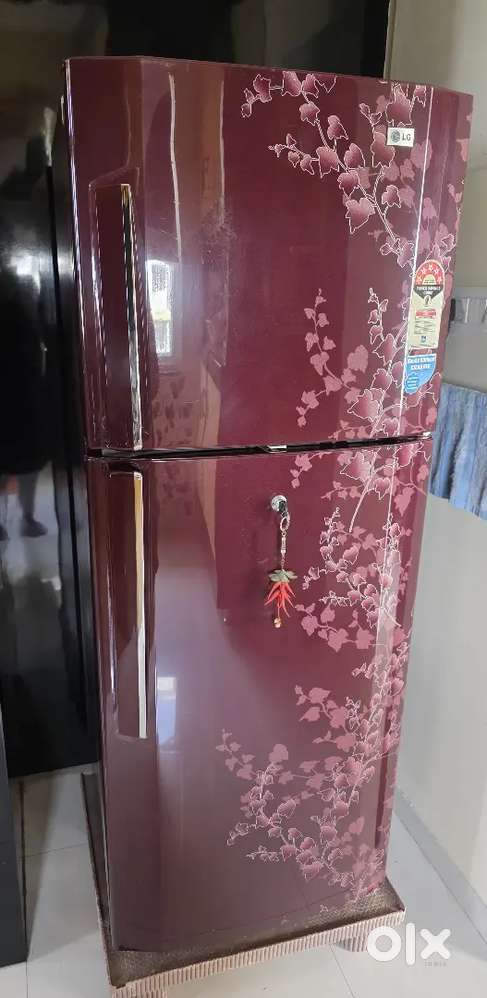 Lg Double door fridge 240 litres capacity ( 5 star )