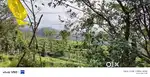 20 cent plot with small house for sale in VAGAMON