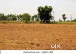 Dtcp approval land low price