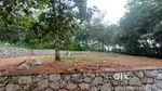 10 cent pothencode vavaraambalam