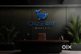 Daily business Details  and Salary details