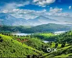Honeymoon Tour Packages to reach sky with your dreams In Munnar