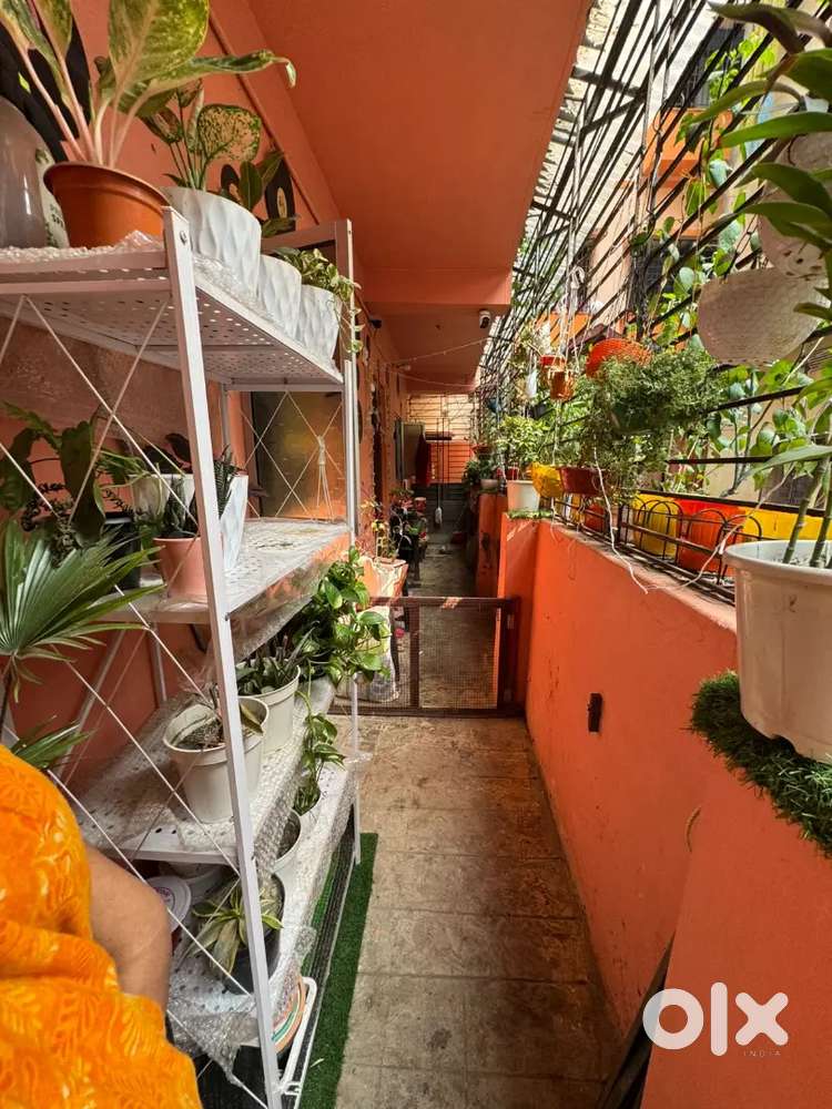 2Bhk Independent flat in Picnic Garden