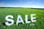 Vacant 2 katha land with cover for sale in sodepur.