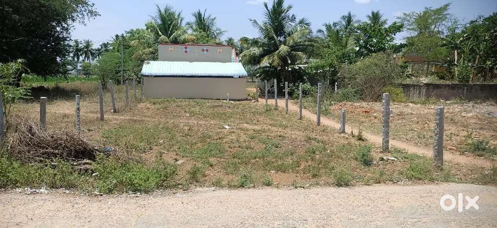 10 to 15mins from Panjappur new bustand