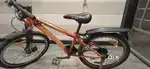 Roadeo bicycle