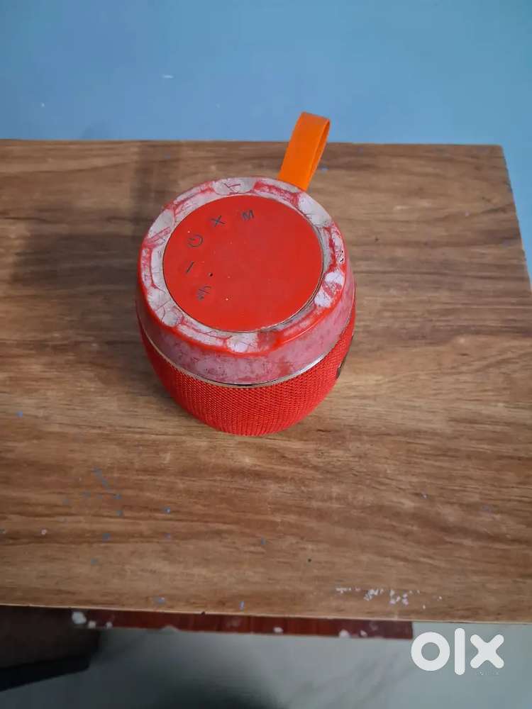 Speaker portable