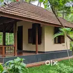 1 MALE ROOM SHARING IN INDEPENDENT HOUSE WITH YOUNG BACHELORS