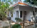 Villa near thodupuzha for rent