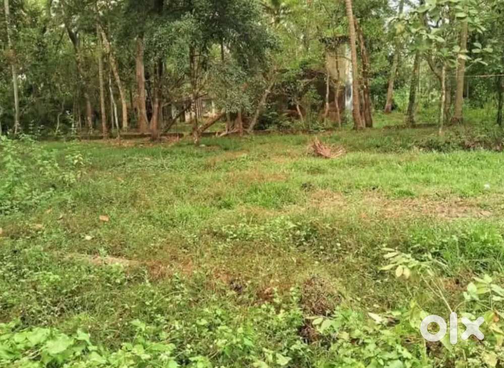 ചേർത്തല വയലാർ 5 സെന്റ് വസ്തു 1.60 ലക്ഷത്തിനു റോഡ് സൈഡിൽ