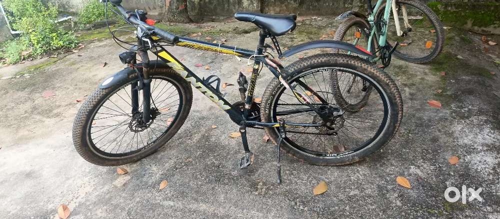 FANTOM Cycle