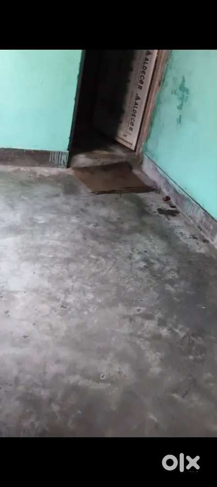 1room with attached bathroom for bachelor and family