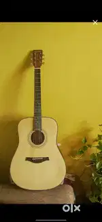 Kadence A281