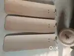 Ceiling Fan