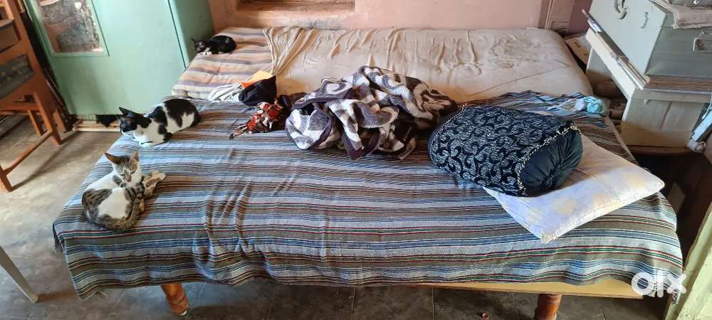 6*6 sagwan bed with mattress