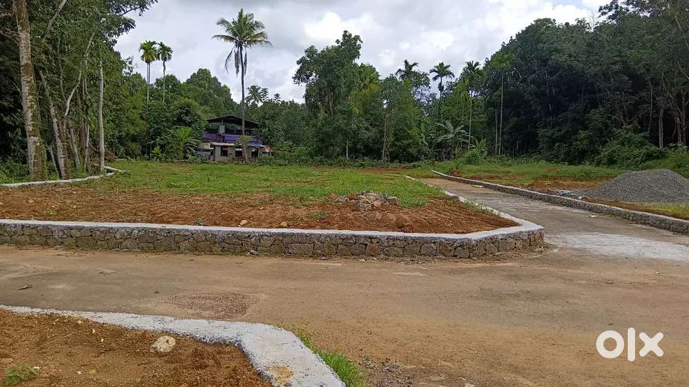Angamaly Pulyanam road 4, 5, 8, 10, 20, cent plots
