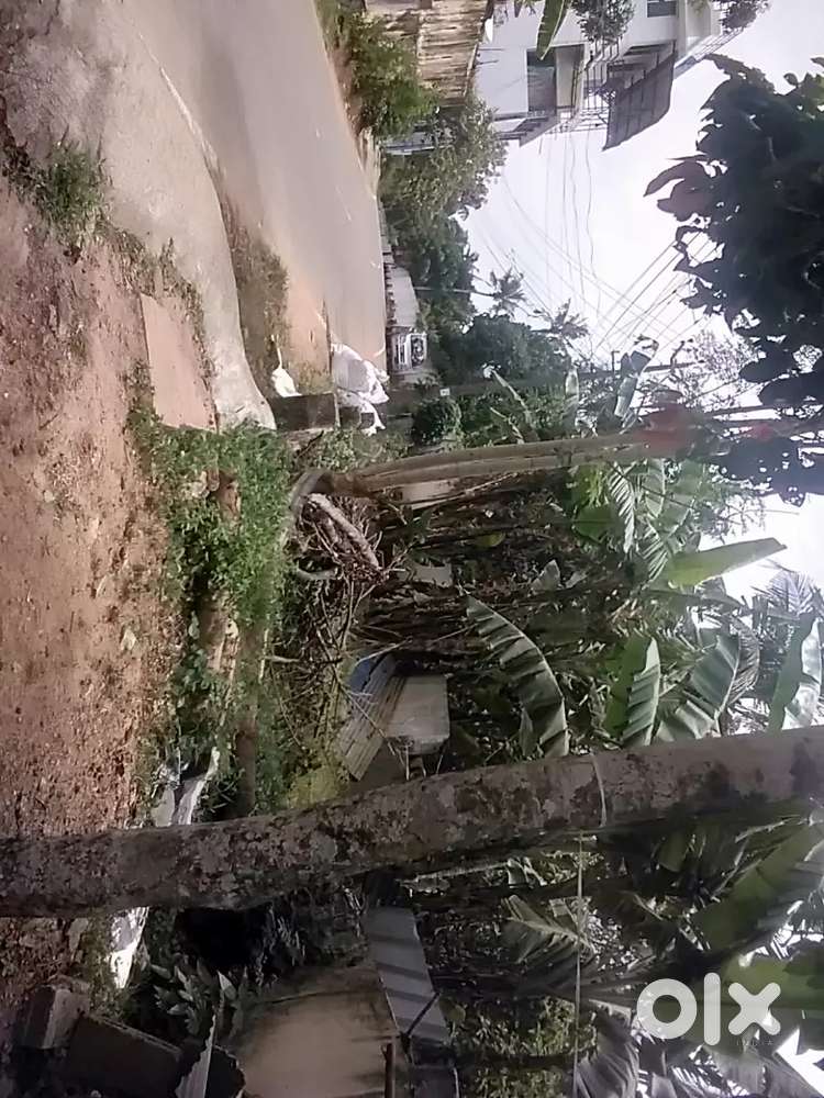 3 സെന്റ് സ്ഥലം വില്പനക്ക്