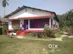 Land with a big house for sale
