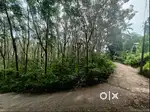 2.Acres of Land suitable for Apartments in Kallayam Vattapara