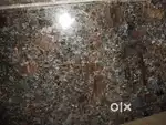 Construction kama shati investor pahije
