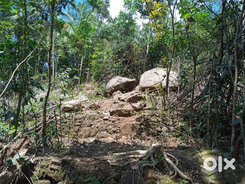 1.10 acre plot to sell in Melukavu - Ilaveezhapunchira road