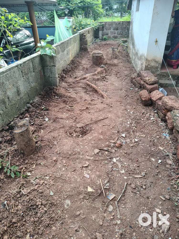 Urgent Sale for 6 Cent House plot with 8 foot Road access. (2 nd Plot)