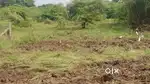 Agricultural fertile land for sale