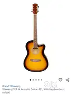 Waxwings acoustic guitar