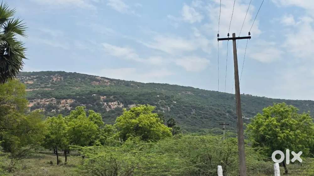 Farmland Sale Gated Community