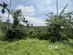 4 ACRE HIGHWAY FRONTAGE COFFEE LAND FOR SALE