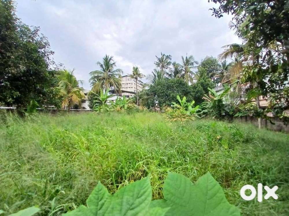 26 cent of residential plot for sale at Palarivattom