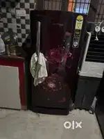 Normal refrigerator