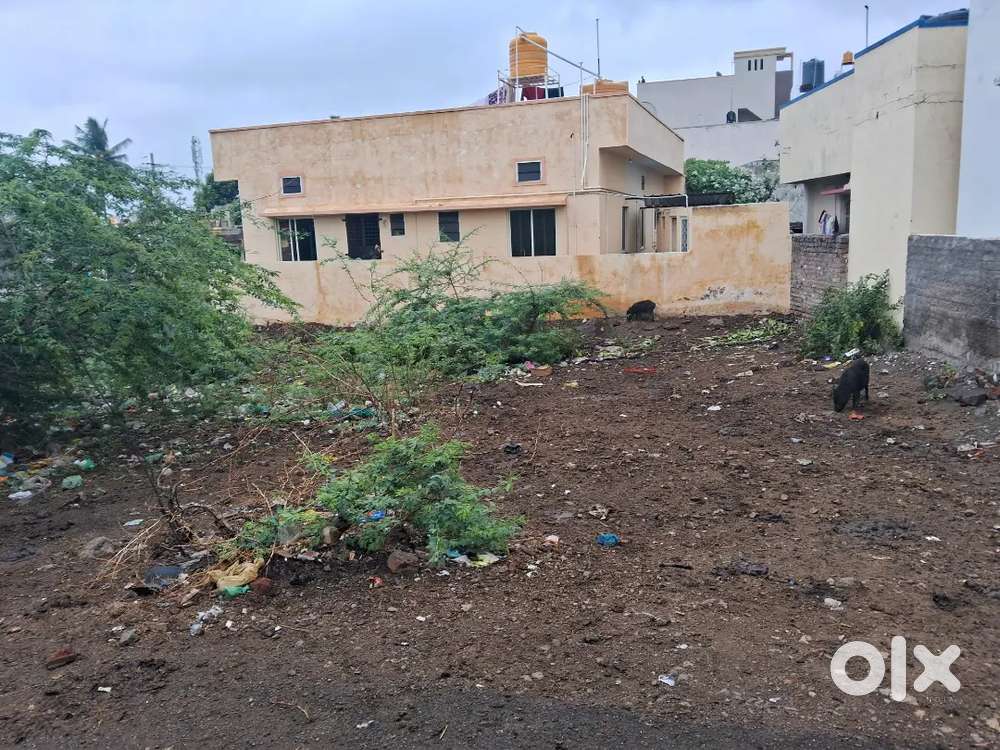 Selling my gunta plot