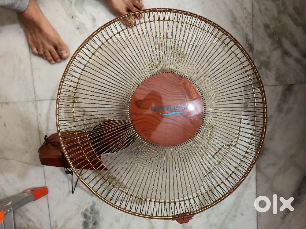 wall hanging fan