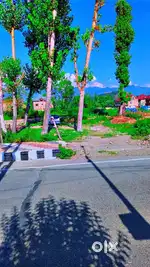 15 marla land  for sale main road dr ali jaan road eid gah