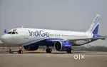 Indigo Airlines Jobs /Vacancy for Airport Ground Staff / Driver / Crew