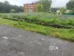 HOUSE PLOT