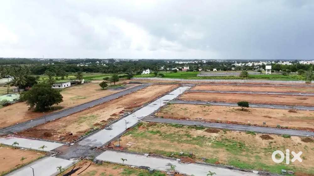 लखनऊ सुल्तानपुर रोड सरोज यूनिवर्सिटी से नजदीक अप्रूव्ड प्लाट बैंक लोन