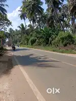 3 Cent Commercial Land for Sale in Vattakarai Palam,On Eathamozhy Road