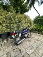 Rx 100 stw cat