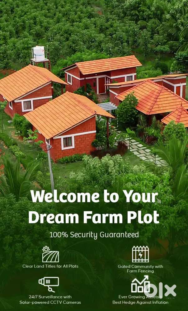 Own a Farm Plot + Earn for Life! High-Value Plantation Returns