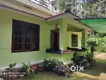 3 BHK Home with Coffee Plantation & Hill View in Krishnagiri Wayanad