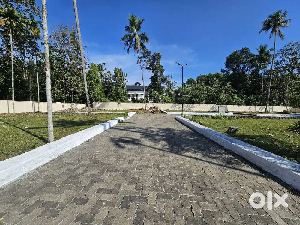 Karukutty Apollo hospital Near Premium Villa Plots Free Land Reg.