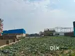 East facing Plot
Total 2000 sqft 1200 per Kathha 20 ft Road