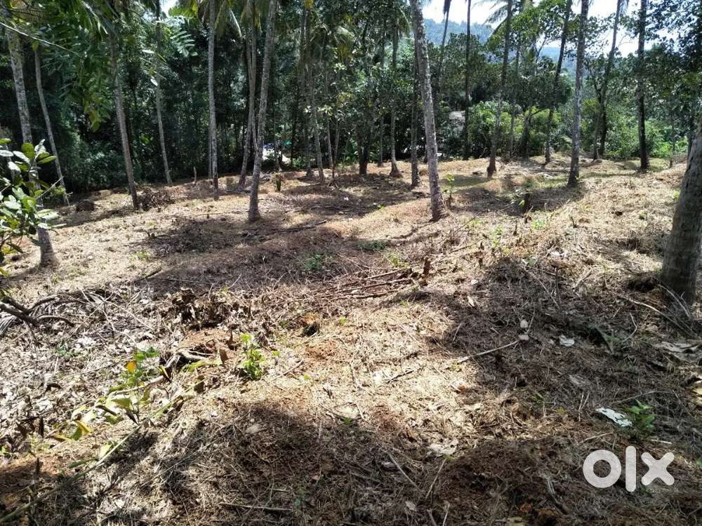 Plot for sale